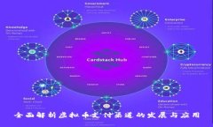 全面解析虚拟币支付渠道的发展与应用
