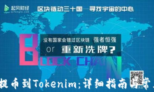 
Hit币如何提币到Tokenim：详细指南与常见问题解答