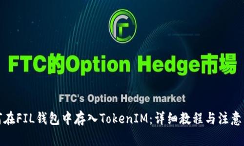 如何在FIL钱包中存入TokenIM：详细教程与注意事项