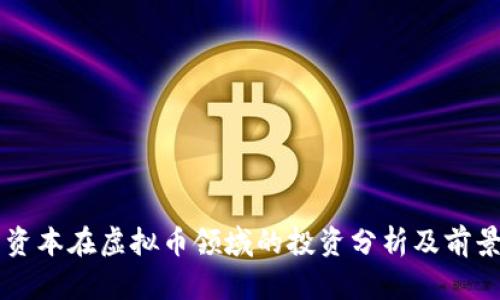 红杉资本在虚拟币领域的投资分析及前景展望