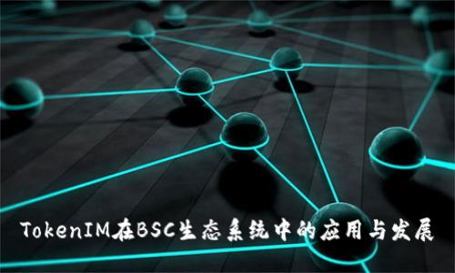 TokenIM在BSC生态系统中的应用与发展