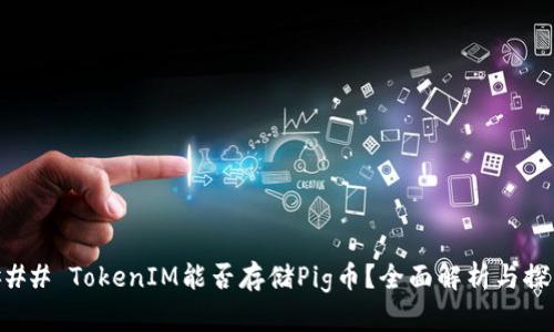 ### TokenIM能否存储Pig币？全面解析与探索