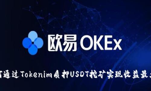 如何通过Tokenim质押USDT挖矿实现收益最大化