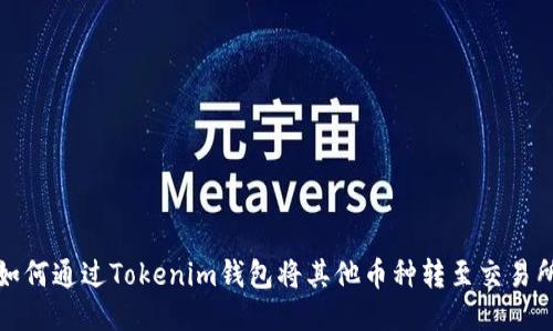 如何通过Tokenim钱包将其他币种转至交易所