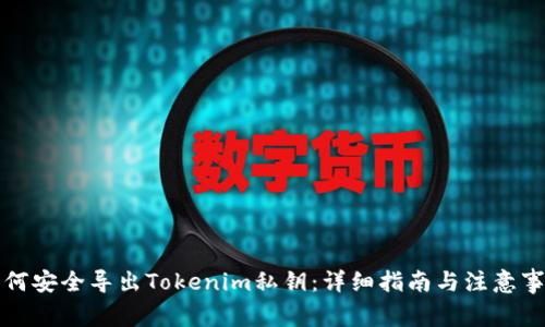 如何安全导出Tokenim私钥：详细指南与注意事项