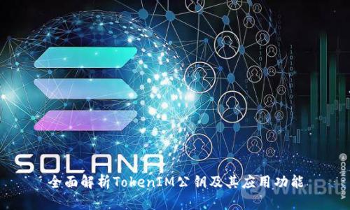 全面解析TokenIM公钥及其应用功能